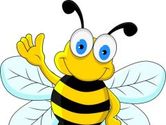 Mật ong và những công dụng thần kỳ